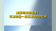 特斯拉股价为何又异动了？这次与美国司法部的调查传闻有关