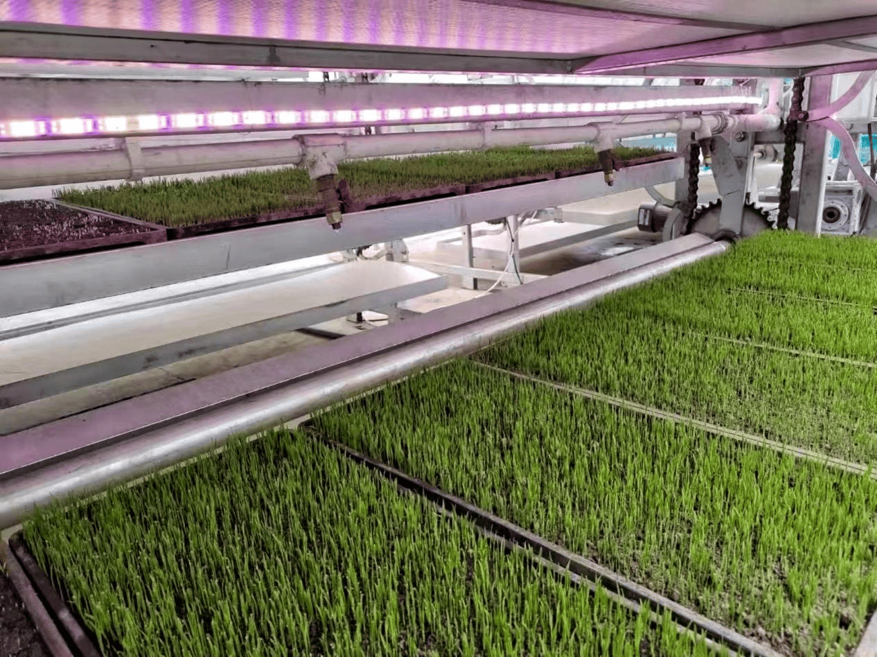 重磅！11部门联合发布，培育世界一流大型铜企业集团