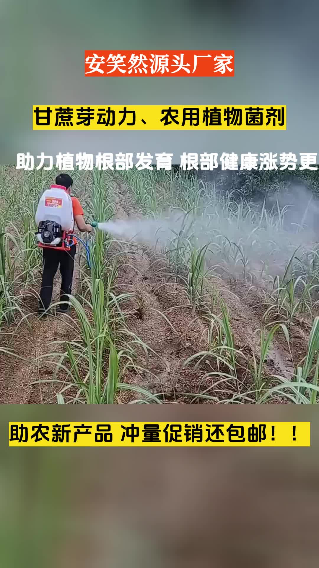 重磅!11部门联合发布,培育世界一流大型铜企业集团