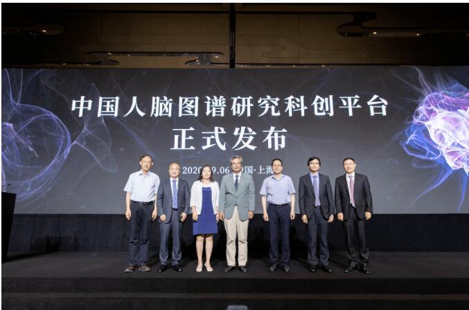 重磅！11部门联合发布，培育世界一流大型铜企业集团