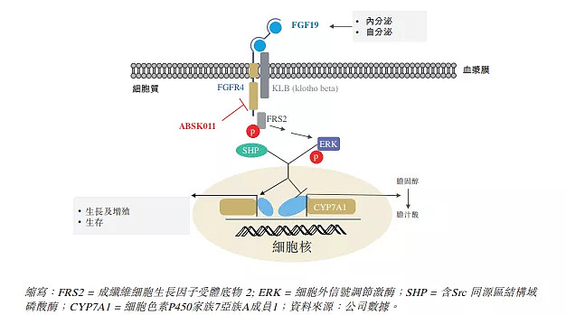 重磅！11部门联合发布，培育世界一流大型铜企业集团
