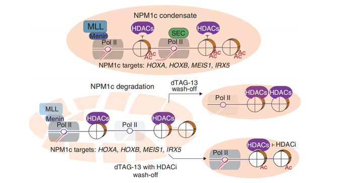 重磅！11部门联合发布，培育世界一流大型铜企业集团