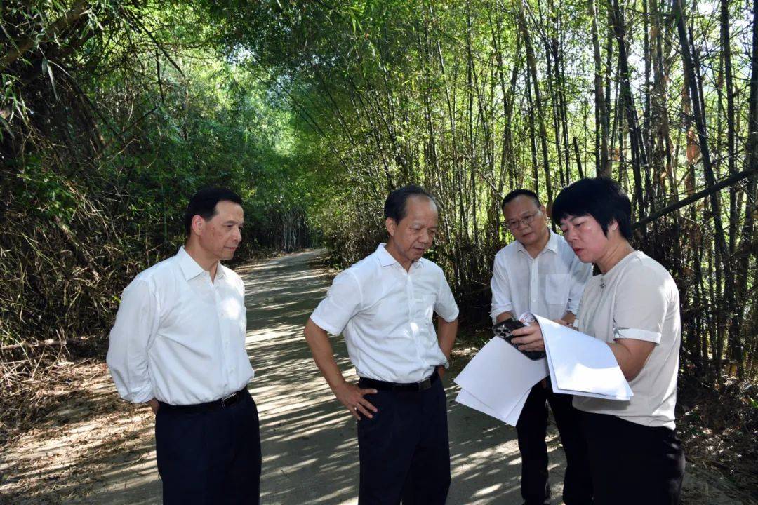 重磅!11部门联合发布,培育世界一流大型铜企业集团