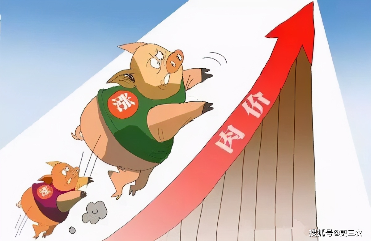 重磅！11部门联合发布，培育世界一流大型铜企业集团