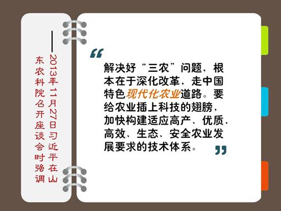 重磅!11部门联合发布,培育世界一流大型铜企业集团
