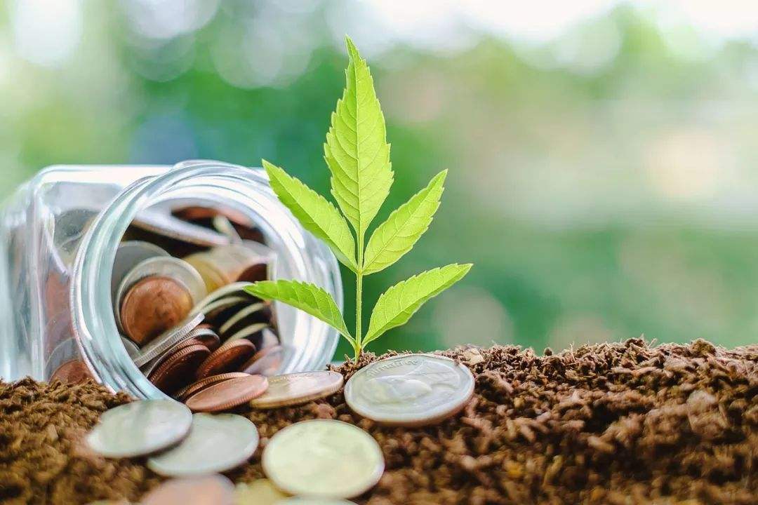 重磅!11部门联合发布,培育世界一流大型铜企业集团
